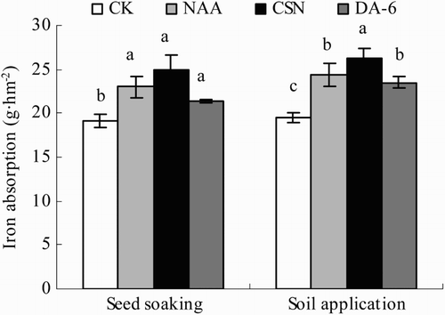 Figure 4. Iron absorption of drip-irrigated rice as affected by three PGRs and two PGR application methods. Error bars represent SE (n = 3). Different letters within an application method indicate significant differences at p < .05 according to Duncan’s multiple range test. The PGR concentrations were 0.01 mg L−1 NAA, 5 mg L−1 CSN, and 0.5 mg L−1 DA-6 in the seed-soaking treatment and 0.1 mg L−1 NAA, 50 mg L−1 CSN, and 5 mg L−1 DA-6 in the soil application treatment; CK, fresh water.