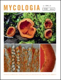Cover image for Mycologia, Volume 96, Issue 5, 2004