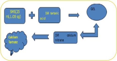 Figure 1. Schematic diagram of CaTT crystal preparation.