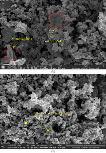 Figure 16. SEM micrograph of M80G20 mortar mixture produced with reactive sand: (a) after 7 days of exposure to NaOH solution; (b) after 20 days of exposure.