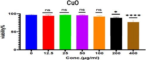 Figure 8. The cytotoxic effect of CuO on HdFn cell line.