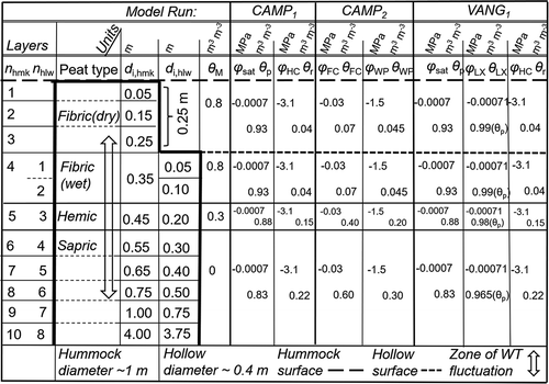 Figure 3. Schematic representation of Mer Bleue bog peat profile, with alternating hummocks (hmk) and hollows (hlw). nhmk and nhlw: numbers of soil layers in hummocks and hollows; di,hmk and di,hlw: depths to soil layer bottom (with respect to hummock and hollow surfaces); θM: volumetric macropore fraction; Ψm,sat: water potential at saturation; θp: total porosity; Ψm,HC: hydroscopic potential (i.e. the soil matric potential in the air-dry condition); θr: residual soil water content; Ψm,FC and θFC, and Ψm,WP and θWP: the water potentials and water contents at field capacity and wilting point, respectively; and Ψm,LX and θLX: water potential and water content at the inflection point (i.e. where change in the direction of curvature of the water retention curve occurs). The peat hydrological parameters are assigned accordingly to the model runs CAMP1 and CAMP2 (modified Campbell soil water retention curve), and VANG1 (modified Van Genuchten soil water retention curve)