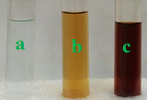 Figure 1. (a) Copper sulfate solution, (b) F. macrocolea flowers extract, (c) CuNPs colloidal suspension.