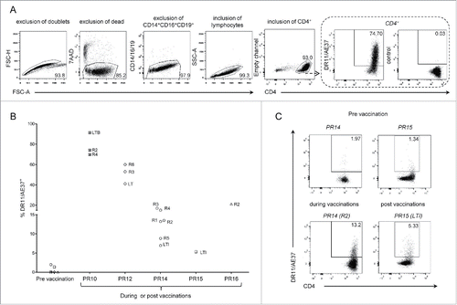 Figure 1. Detection of DR11/AE37 CD4+ T cells in peptide-stimulated cultures from PBMCs of DRB1*11+ prostate cancer patients following vaccination. (A) PBMCs from patient no.10 (PR10), isolated from a blood sample collected during vaccinations (after 1st vaccine inoculation; R2), were assessed with DR11/AE37 tetramer following in vitro AE37-stimulation and analyzed by flow cytometry. According to the representative example of the gating strategy depicted, DR11/AE37 tetramer+ cells were identified in CD4+ T lymphocytes, after exclusion of doublets, dead, and generally non-specifically binding cells. An FMO (fluorescence minus one) control was used to determine tetramer positivity. Final dot plot presents DR11/A37+ T cells gated on total alive CD4+ T cells (after exclusion of CD14+CD16+CD19+cells). (B) Pre-vaccination, during and post-vaccination PBMCs' samples from HLA-DRB1*11+ patients, were stimulated in vitro with AE37 peptide, followed by DR11/AE37 tetramer and surface mAbs staining and analyzed by flow cytometry. Graph presents proportions of DR11/AE37+CD4+ T cells detected in all patients analyzed at pre-vaccination, during and post-vaccination, at the timepoints indicated. (C) Dot plots and proportions of DR11/AE37+ CD4+ T cells, from patients PR14 and PR15, detected in AE37-stimulated cultures from blood samples collected at the indicated timepoints.