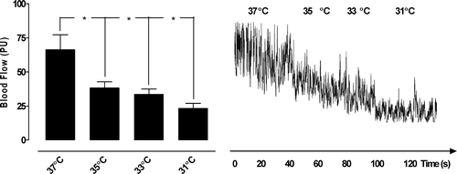 Figure 1.  Microvascular blood flow measured in ischemic myocardium exposed to temperatures between 37°C and 31°C, using laser Doppler velocimetry. The measurements were performed at a depth of 1–2 mm in the myocardium (epicardium) in seven pigs. The results are shown as mean values±SEM, in the left panel. A level of *p < 0.05 was considered statistically significant. The right panel shows a representative example of microvascular blood flow changes during induction of hypothermia, from 37–31°C.