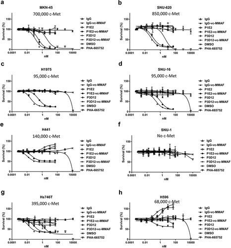 Figure 3. In vitro cytotoxicity and specificity of lead P3D12 c-Met ADC. Several cMet ADCs, non-targeting ADC and a c-Met- selective Tyrosine Kinase Inhibitor (TKI), PHA-665752, were tested on five cMet-positive and one cMet-negative (SNU-1) cancer cell lines. cMet receptor number (receptors/cell) for each cell line is mentioned in the figure.(a) High c-Met expressing cell line MKN-45, (b) High c-Met expressing cell line SNU-620, (c) Low-Medium c-Met expressing cell line H1975, (d) Low-Medium c-Met expressing cell line SNU-16, (e) Low-Medium c-Met expressing cell line H441, (f)c-Met negative cell line SNU-1, G: c-Met-mutant cell line Hs-746 T, H: c-Met-mutant cell line H596.