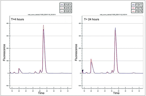 Figure 7 Analysis on LabChip GXII showing recovery of mAbs from blood-precision data (n = 3) after 4 and 24 hours.