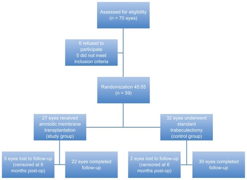 Figure 1 Flow chart showing the progression of patients in the study.