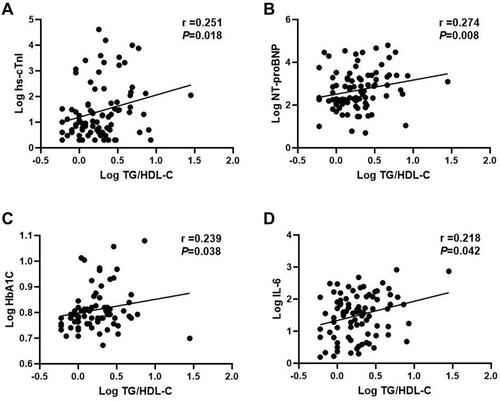 Figure 1 Correlation of the TG/HDL-C ratio with cardiometabolic and inflammatory indicators ((A) hs-CnTI; (B). NT-proBNP; (C) HbA1C; (D) IL-6.) Variables were log transformed.
