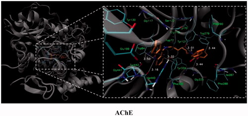 Figure 1. Docked binding modes for compound 7 and AChE.