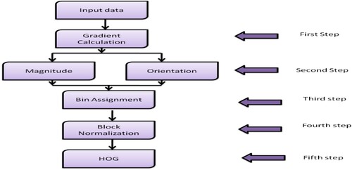 Figure 3. The flow of the HOG