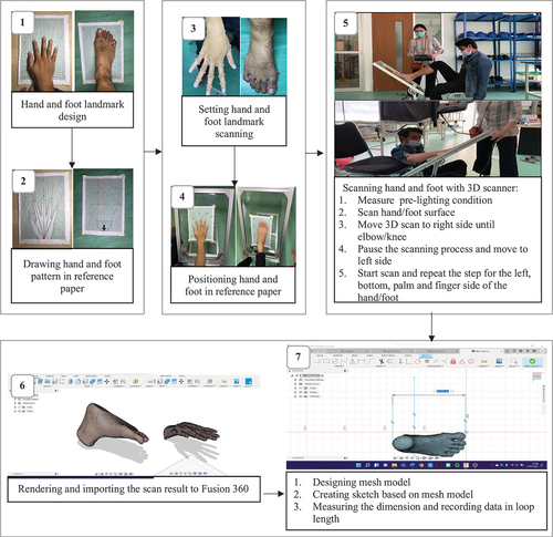 Figure 4. Procedure of hand and feet measurement using 3D scan.