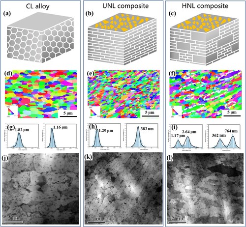 Figure 1. Electron microscopy characterization of Al-Cu-Mg and its composites with different grain structures: (a, d, g, j) for CL Al-Cu-Mg; (b, e, h, k) for UNL GNS/Al-Cu-Mg; and (c, f, i, l) for HNL GNS/ Al-Cu-Mg. (a–c) Schematic diagrams illustrating different grain structures; (d–f) the distributions of the length and width of grains EBSD inverse pole figure maps of composites; (g–i) the distributions of the length and width of grains; (j–l) TEM images showing the grain distribution of composites.
