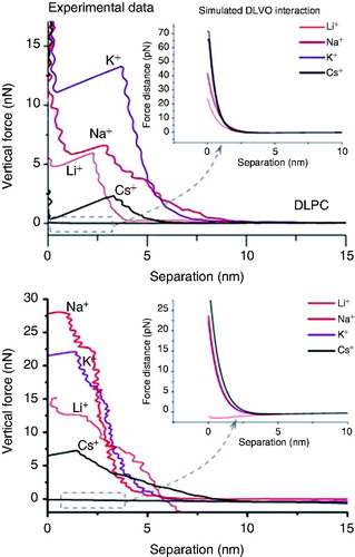 Figure 4. Fb vs. separation curves performed on DLPC bilayers (upper graph) and DPPC bilayers (lower graph) immersed in different buffer solutions. The insets correspond to the simulated DLVO interactions considering the experimentally measured σtip and σsample values. Reprinted by permission from the Biophysical Society (Redondo-Morata et al. Citation2012d).