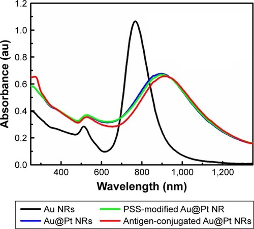 Figure 3 UV-vis-NIR spectra of Au NRs, Au@Pt NRs, PSS-modified Au@Pt NRs, and antigen-conjugated Au@Pt NRs.Abbreviations: NIR, near infrared; NR, nanorod; PSS, poly(sodium-4-styrene sulfonate); UV, ultraviolet; vis, visible.