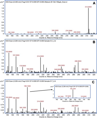 Figure 3. Mass spectra of AFB1 after treatment with aqueous extract of E. prostrata. (A) untreated AFB1 (control); (B) E. prostrata extract alone; (C) AFB1 after treatment with E. prostrata extract.