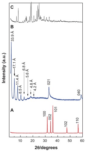 Figure 1 Powder X-ray diffraction patterns of (A) zinc oxide, (B) CETN, and (C) cetirizine.Abbreviation: CETN, cetirizine nanocomposite.