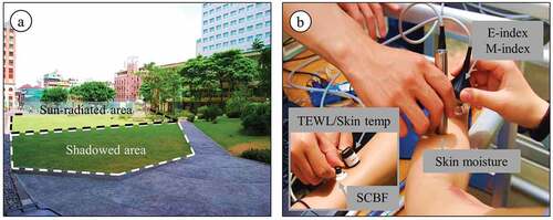 Figure 2. (a) The sun-radiated and shadowed areas where field observations in this study took place in Taichung, Taiwan; (b) measurement of the erythema-index (E-index), melanin-index (M-index), skin capillary blood flow (SCBF), skin moisture, transepidermal water loss (TEWL), and skin temperature on the forearm skin.