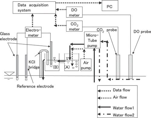 Figure 1. Schematic diagram of the system for measurement of dissolved carbon dioxide (CO2), dissolved oxygen (DO), pH, and RpH. PC, personal computer.