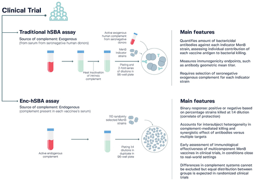 Figure 7. Characteristics of the traditional human serum bactericidal antibody (hSBA) assay and the endogenous complement hSBA (enc-hSBA) in relation to the assessment of meningococcal serogroup B (MenB) vaccines.Citation159,Citation184–186.