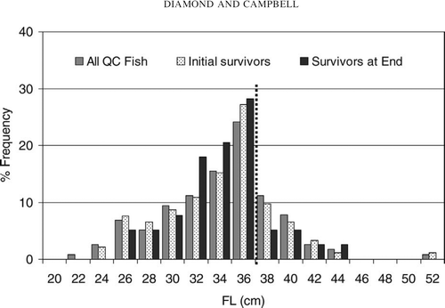 Figure 2. Length frequencies (fork length [FL]) of red snapper: all quasicontrol (QC) fish captured (gray bars), survivors of immediate mortality (patterned bars), and survivors of delayed mortality (black bars). The dashed line represents the legal size limit of 37.7 cm FL (40.6 cm total length).