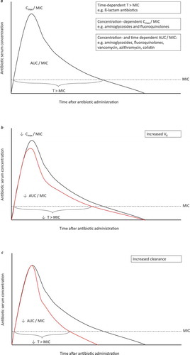 Figure 1. Illustration of the main PK/PD parameters that correlate with the efficacy of antibiotics (a), and PK/PD changes in increased volume of distribution (b) and increased renal clearance (c)