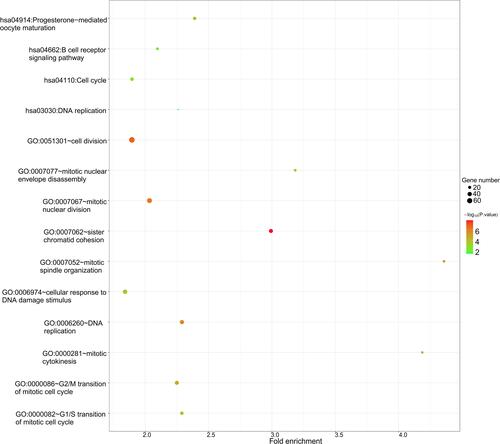 Figure 3 Function enrichment analysis for host genes of differentially expressed circRNAs.