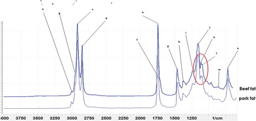 Figure 1. FTIR spectra of beef and lard in meatballs. Peak marked with a circle indicated the significant absorption bands for the differentiation.