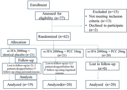 Figure 1 CONSORT flow diagram.