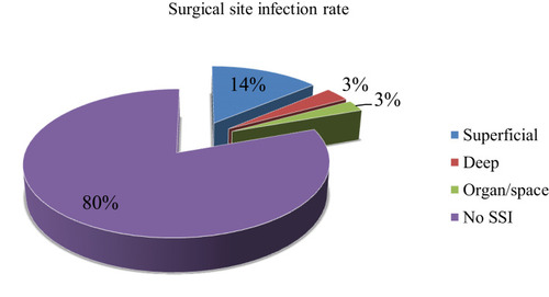 Figure 1 Type of surgical site infection.