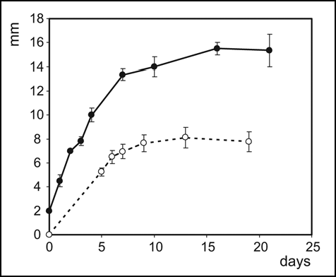 Figure 1 Colonies of the F clone exhibit limited growth. Colonies were started by sowing (open symbols) or dropping (closed symbols; see Methods) at time 0; average diameter from 6 colonies ± standard deviation is shown for each time point.