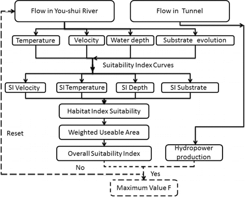 Figure 4 Flow chart of the traditional, optional environmental flow scheme (without dashed lines), and optimal environmental flow scheme (including solid lines and dashed lines).