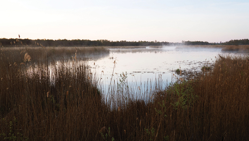 Figure 1. The remnants of ancient Lake Biržulis photographed early in the morning. Photograph: K. Lassila.