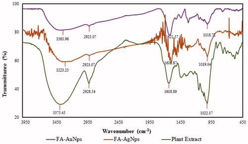 Figure 4. FT-IR spectra of biosynthesized nanoparticles and plant extract.