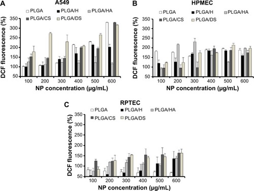 Figure 6 Reactive oxygen species induction in (A) lung epithelial adenocarcinoma (A549) cells, (B) human pulmonary microvascular endothelial cells (HPMEC), and (C) renal proximal tubular epithelial cells (RPTEC), following incubation with glycosaminoglycan-functionalized poly-lactide-co-glycolide (PLGA) nanoparticles (NPs) for 24 hours (n=3).Abbreviations: DCF, dichlorofluorescein; PLGA/CS, poly-lactide-co-glycolide functionalized with chondroitin sulfate; PLGA/DS, poly-lactide-co-glycolide functionalized with dermatan sulfate; PLGA/H, poly-lactide-co-glycolide functionalized with heparin; PLGA/HA, poly-lactide-co-glycolide functionalized with hyaluronic acid.