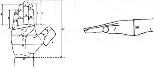 Figure 7. Hand measurement and hand depth diagram (Çakıt et al., Citation2014).