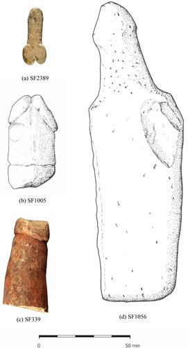 Figure 11 Phalli from WF16 (a) SF339, bone (b) SF2389, stone with red ochre; (c) SF1005, stone; (d) SF1006, stone (photos: S. Mithen and B. Finlayson; drawing: S. Lamb).