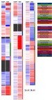 Figure 1 Relative expression of visfatin and potential visfatin receptor in the pan-cancer panel. In The Cancer Genome Atlas pan-cancer dataset, the relative visfatin (NAMPT) and potential visfatin receptor (INSR) expression levels were presented on a pan-cancer scale. Red color in heat map represents genes with high expression. Blue color in heat map represents genes with low expression.