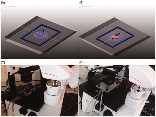 Figure 1. Design of the nanomagnetic AMF actuation set-up for time lapse imaging set-up with the dimensions alike for a cell culture 6, 24, 96 well plate, solenoid coil (A) and planar coil (B). (C, D) Coil systems mounted onto microscope attached with an imaging camera and solenoid coil (C), and planar coil (D).