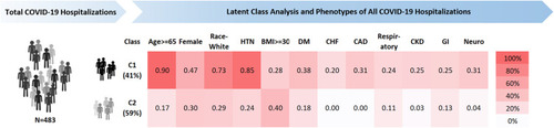 Figure 1 Probability of individual risk factors in the two clusters among total COVID-19 hospitalizations.