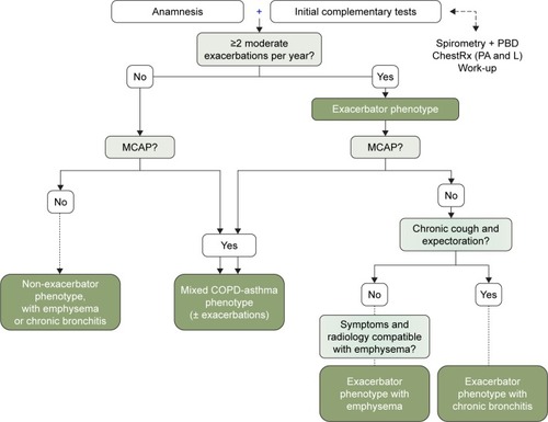 Figure 1 Diagnostic algorithm of the clinical phenotypes.
