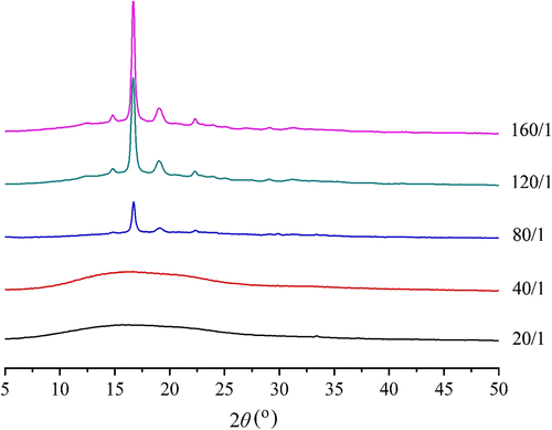 Figure 4 XRD spectra of P(LA-co-DAB)s with different feed molar ratios (LA/DAB).