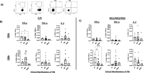 Figure 2. Cytokine expression profiles of CD4+ and CD8+ T-cells specific for structural or non-structural TBEV proteins in patients with meningitis, meningoencephalitis and meningoencephalomyelitis. (A) Representative FACS plots depicting cytokine production by CD4+ or CD8+ T-cells in patients with diverse clinical presentations of TBE. (B) Frequencies of CD4+ (top) and CD8+ (bottom) T-cells producing IFN-γ, TNF-α or IL-2 in response to structural (C or E) proteins of TBEV. (C) Cytokine production by CD4+ (top) or CD8+ (bottom) T-cells towards any of the non-structural proteins of TBEV (NS1, NS3 or NS5) is depicted. Analyses of cytokine response was performed on non-naïve antigen-experienced T-cells. A response above 0.01% was considered positive. Each dot represents T-cell response to any of responding proteins. Horizontal lines indicate median values. Two-tailed Kruskal–Wallis test or ANOVA with Dunn’s multiple comparison test were performed for comparisons of groups. *P < .05, **P < .01, ***P < .001.