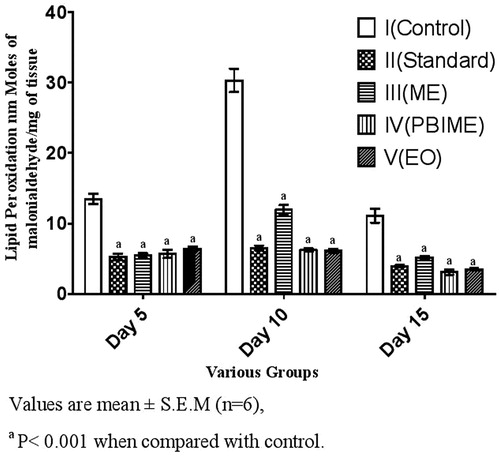 Figure 3. Effect of various extracts of S. robusta resin on lipid peroxidation of excision wounds in rats.