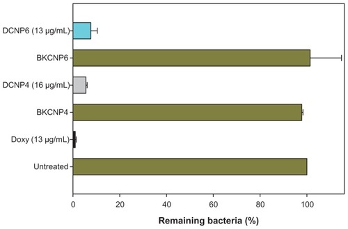 Figure 3 Inhibitory effects of drug-loaded chitosan nanoparticles on bacterial growth, expressed in terms of percentage of remaining bacteria after 4 hours of treatment. Minimum inhibitory concentration values are as follows: DCNP4 = 16 μg/mL, DCNP6 = 13 μg/mL, and Doxy = 13 μg/mL. The untreated tube was used to define the “100% remaining” (no inhibition) case.Note: Data shown are the mean ± standard deviation (n = 3).