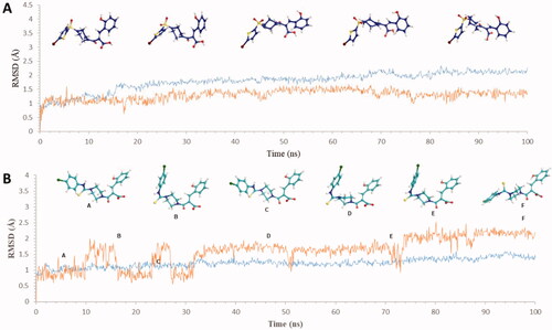 Figure 5. Graph showing analysis of ligand RMSD for MD simulation time of 100 ns on hCA XII (PDB ID: 1JD0) (A) change in conformations of 6d. (B) change in conformations of 7b.