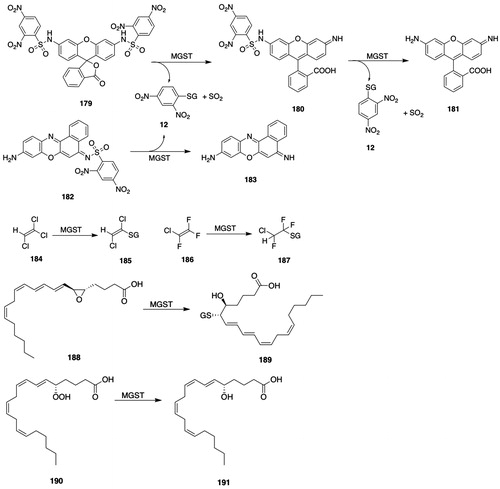 Figure 16. MGST substrates. 179, bis-(2,4-dinitrophenylsulfonyl)rhodamine; 180, 2-(2,4-dinitrophenylsulfonyl)rhodamine; 181, rhodamine; 182, (Z)-N-(9-amino-5H-benzo[a]phenoxazin-5-ylidene)-2,4-dinitrophenylsulfonamide (DNs-CV); 183, crystal violet; 184, trichloroethylene; 185, S-(1,2-dichlorovinyl)GSH; 186, chlorotrifluoroethylene; 187, S-(2-chloro-1,1,2-trifluoroethyl)GSH; 188, leukotriene A4 (LTA4); 189, leukotriene C4 (LTC4); 190, 5-hydroperoxyeicosatetraenoic acid (5-HPETE); 191, 5-hydroxyeicosatetraenoic acid (5-HETE).