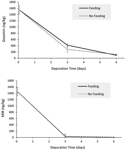 Figure 2. Geosmin and MIB concentrations in Atlantic salmon flesh from feeding and fasting treatments during the 6-day depuration period (mean ± standard error; n = 4 depuration systems).