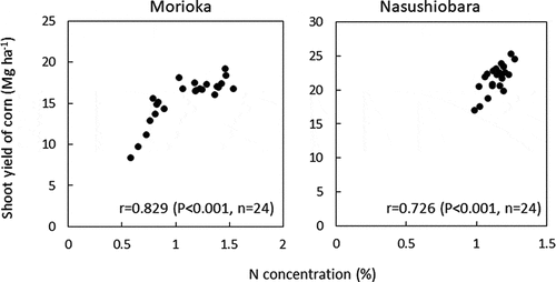 Figure 3. Relationship between nitrogen (N) concentration of corn shoot and shoot yield of corn at Morioka and Nasushiobara.