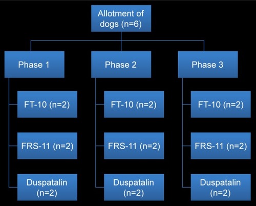 Figure 1 In vivo study design shows treatment phases.